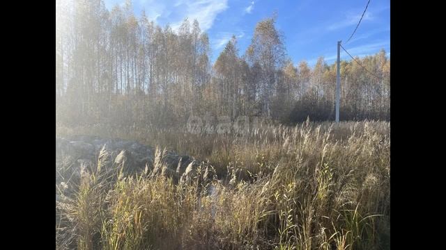 5773461 смотреть онлайн