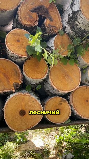 Жизнь в деревне день 2