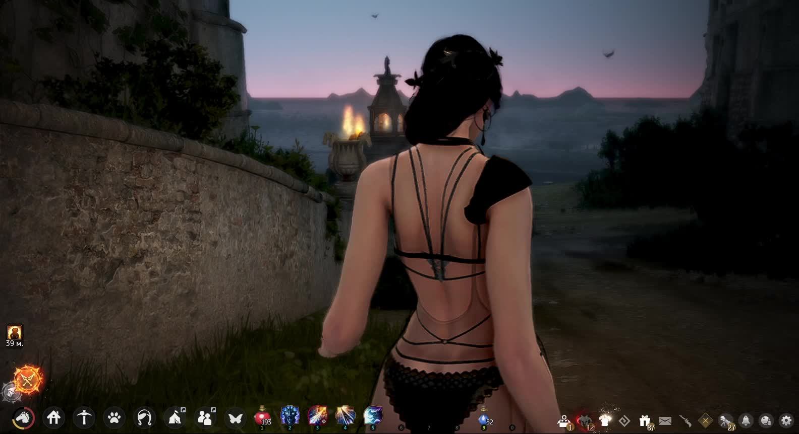 Black Desert смотреть онлайн
