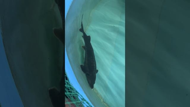 19-07-2025 смотреть онлайн