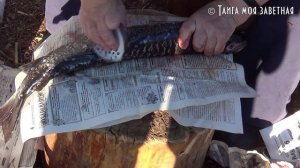 Как современные эвенки чистят рыбу