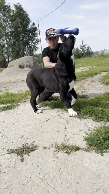 СУРДАН КАРАШ УХАННА