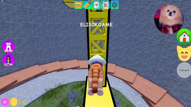 КОТИК ШАЙЛУШАЙ В РОБЛОКС ! КУПИЛА САМОГО КРАСИВОГО КОТЕНКА В ROBLOX смотреть онлайн