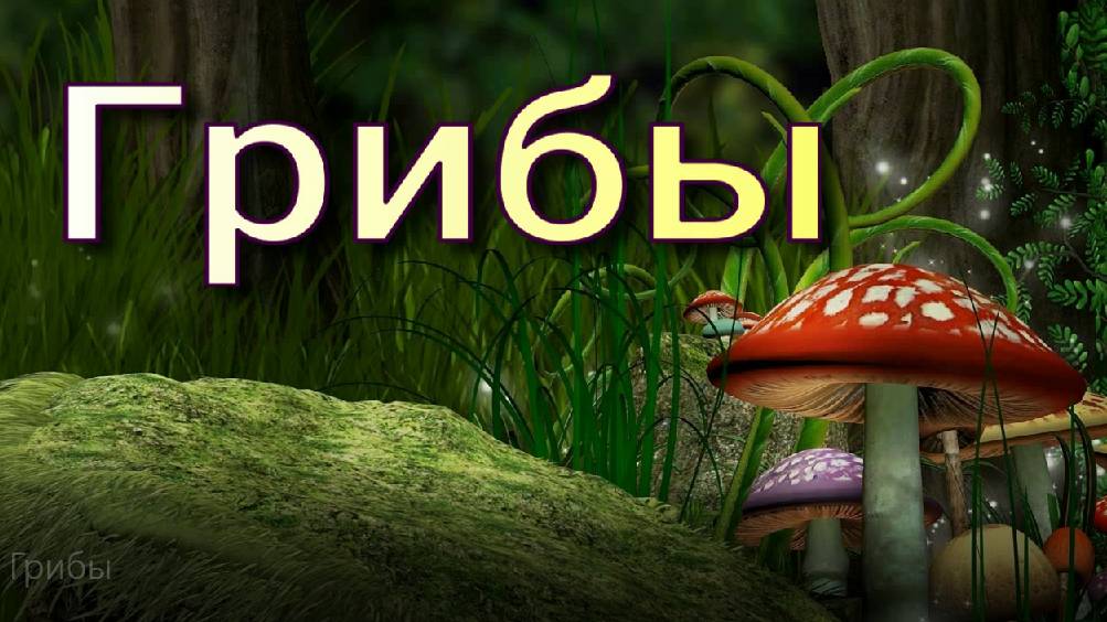 Грибы. Тайны грибного царства. смотреть онлайн