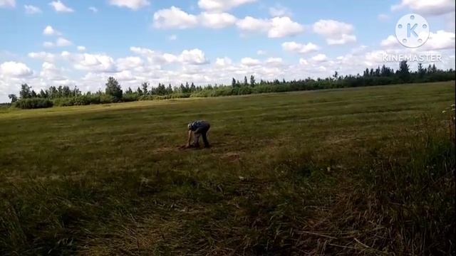 Что подарили на Юбилей смотреть онлайн