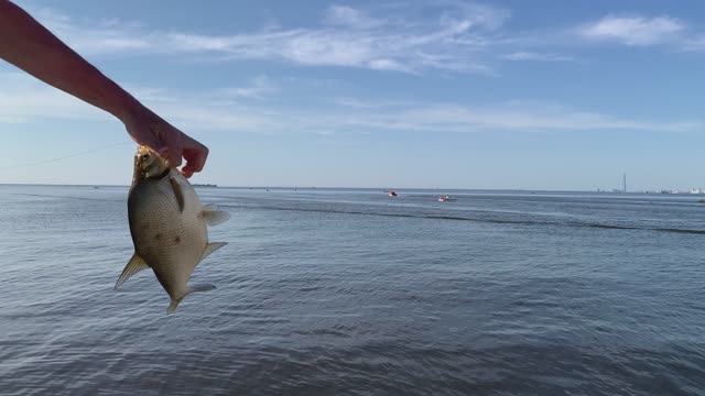 Финский залив 19.07.2025 смотреть онлайн