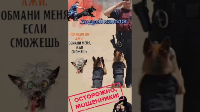 Сборник нечисти от Кинолога смотреть онлайн