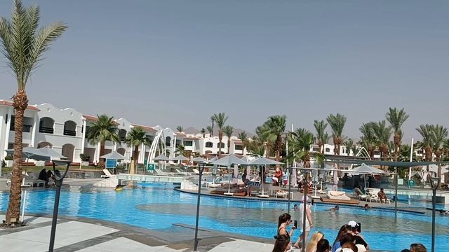 JAZ dreams Обзор Территории