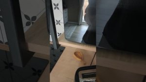 Skandi рыбка Путеводитель по дому