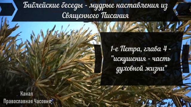 РАЗУМНАЯ ЖЕНА - ВЕЛИКИЙ ДАР СВЫШЕ! БИБЛЕЙСКИЕ МУДРЫЕ ЦИТАТЫ смотреть онлайн