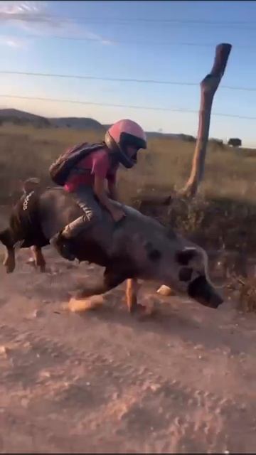 квадроцикл