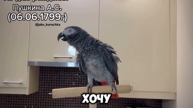 От меня