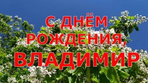 С ДНЁМ РОЖДЕНИЯ, ВЛАДИМИР