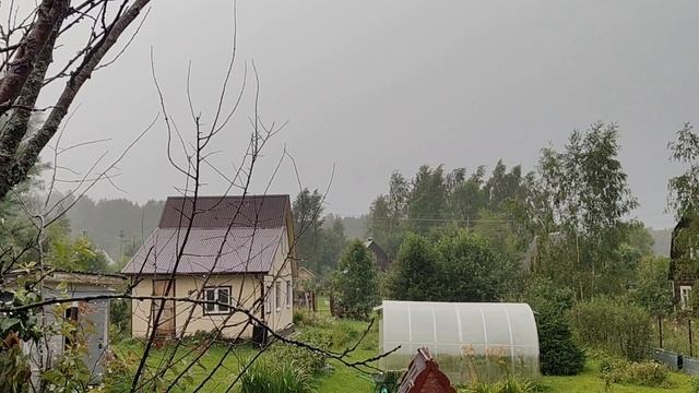 Дожди достали! Лето отменили? Пойду искать билеты!😡 смотреть онлайн