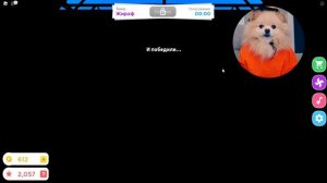 РИСУЮ НА СКОРОСТЬ В РОБЛОКС ! РИСУЮ ЖИВОТНЫХ В ROBLOX