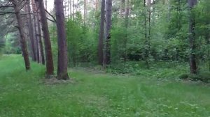 ЗАЩИТА ДУХОВ... на языке духов