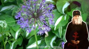 СОВЕТЫ О МОЛИТВЕ ИИСУСОВОЙ - СХИИГУМЕН ИОАНН АЛЕКСЕЕВ