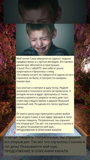 B_Мой сынок Саша вернулся из садика с седыми прядями волос_0