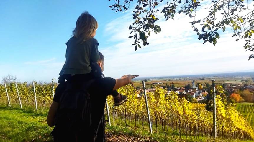 ❓Где мы и чем занимались это время || Новая глава - Ежевичный огород