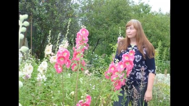 Я целую твои руки - Автор музыка и поёт Сергей Мамедов смотреть онлайн