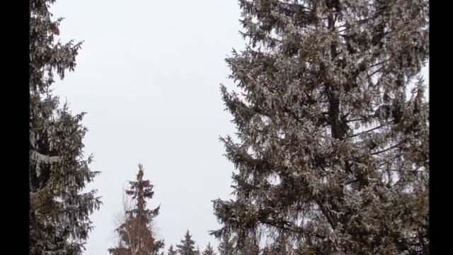 Тёмная ночь - Автор и музыка Зарина Шакубаева поёт Алексей Каркин смотреть онлайн