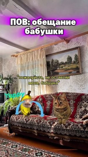 не мое(не хейт)