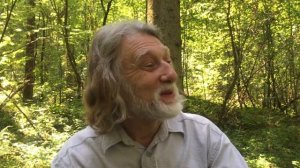 Лес, здесь наша сила