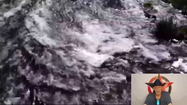 Ложные социальные Роли : Этология обмана и власти