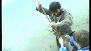 Ловля сома на реке Кума