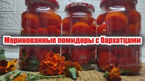 Вкусное чудо: маринованные помидоры с бархатцами на зиму