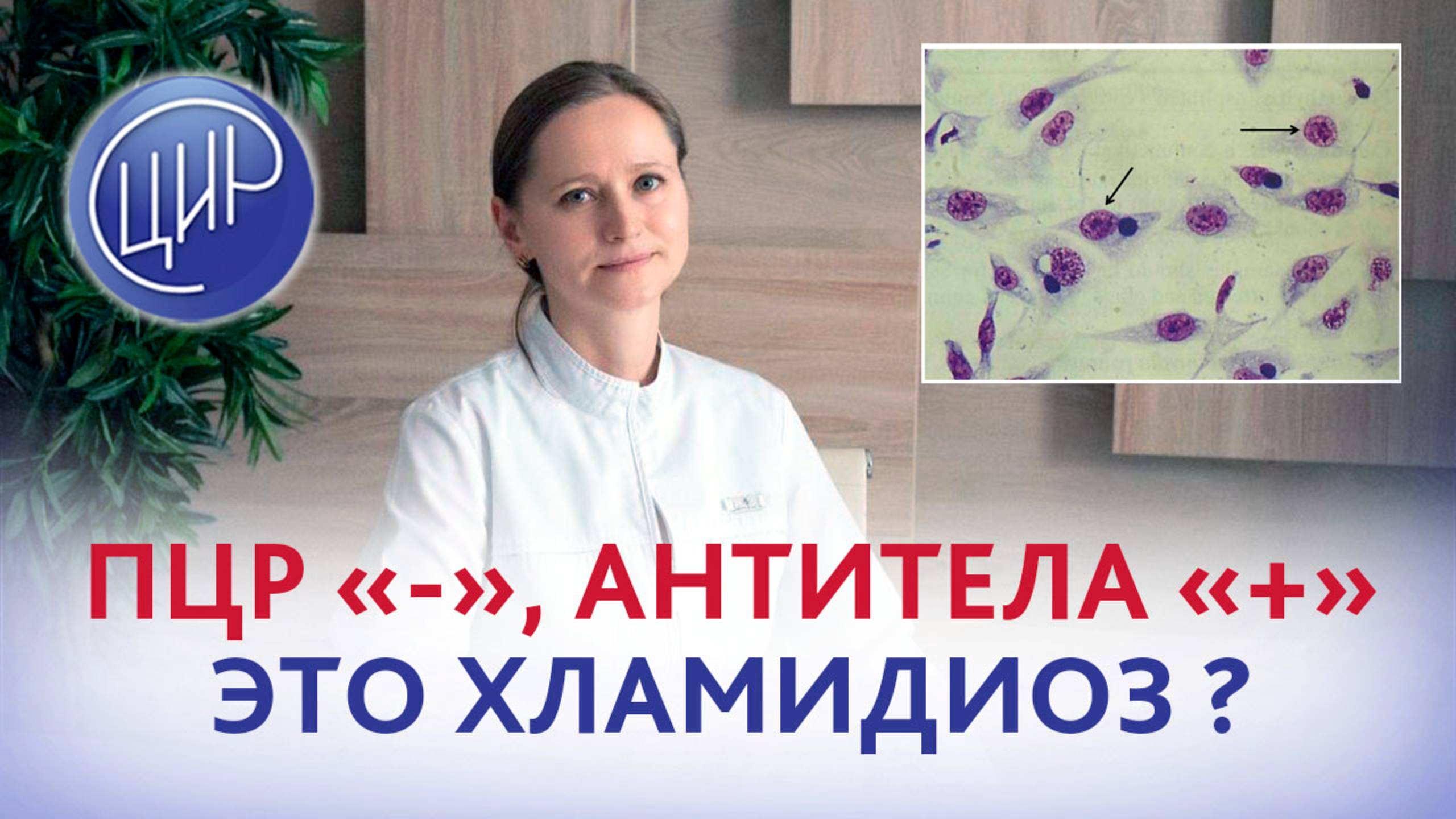 ПЦР на хламидиоз "-", антитела "+", болят суставы и есть проблемы с давлением. Это хламидиоз?