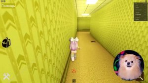 ШРЕК ! ЧТО С ТОБОЙ СТАЛО В РОБЛОКС ? | ROBLOX