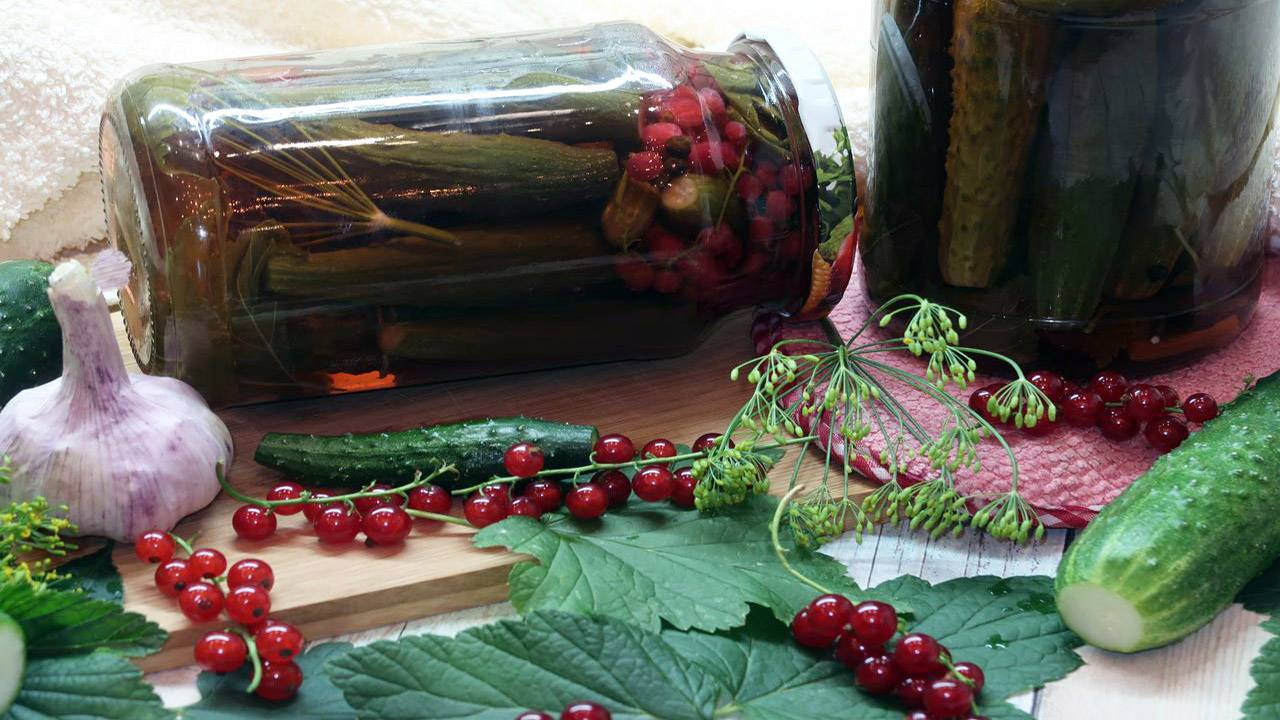 Маринованные огурцы с красной смородиной на зиму смотреть онлайн