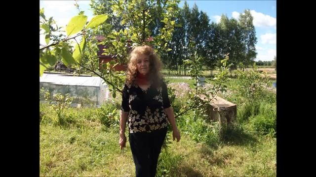 Свободная дама - Автор Дмитрий Комаров музыка и поёт Дмитрий Босой смотреть онлайн