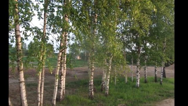 Матушка - Автор музыки и слов П Андреев поёт Татьяна Куртукова смотреть онлайн
