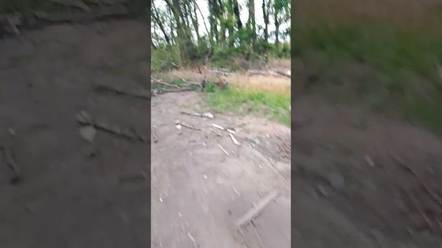 прогулка по дороге на СВО