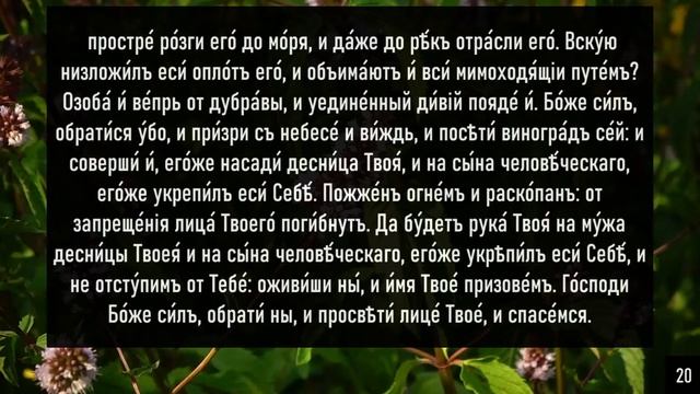 МОЛИТВЫ О СПАСЕНИИ РУСИ - 40 РАЗ смотреть онлайн