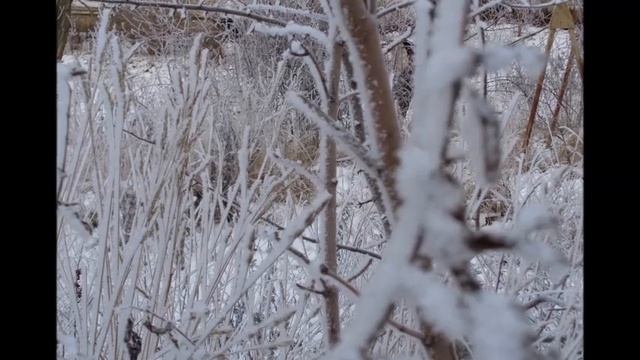 Королева снежная - Автор музыка и поёт Дмитрий Голд смотреть онлайн