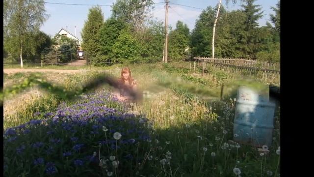 Звёзды сияли - Автор Максим Евдокимов музыка и поёт Виктор Могилатов смотреть онлайн