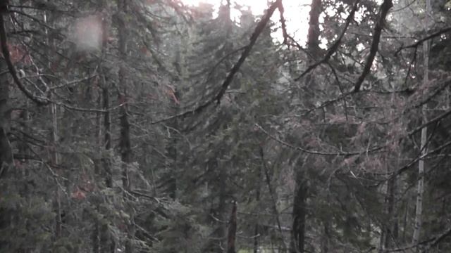 перелай косуль
#сезонконтентаRUTUBE