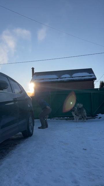 Привет подпищщики