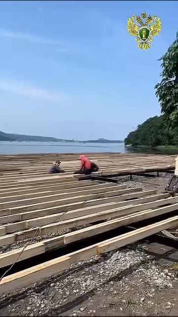 Когда чиновники "не заметили", как остров Елена начали превращать в Монако смотреть онлайн