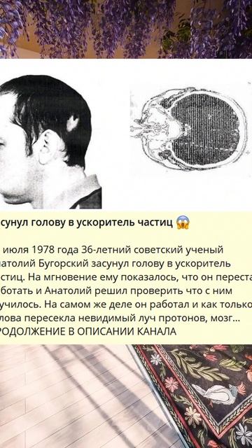 F_Засунул голову в ускоритель частиц -_R