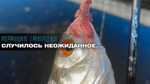 Проснулся от укуса комара — и вот что из этого вышло! 🎣#мормышинг #микроджиг #рыбалка