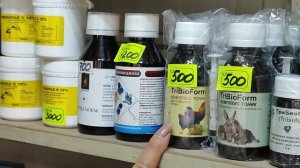 19.07.2025г Голубиный Рай Садовод!!!