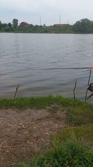 #барирыбалкаволга#