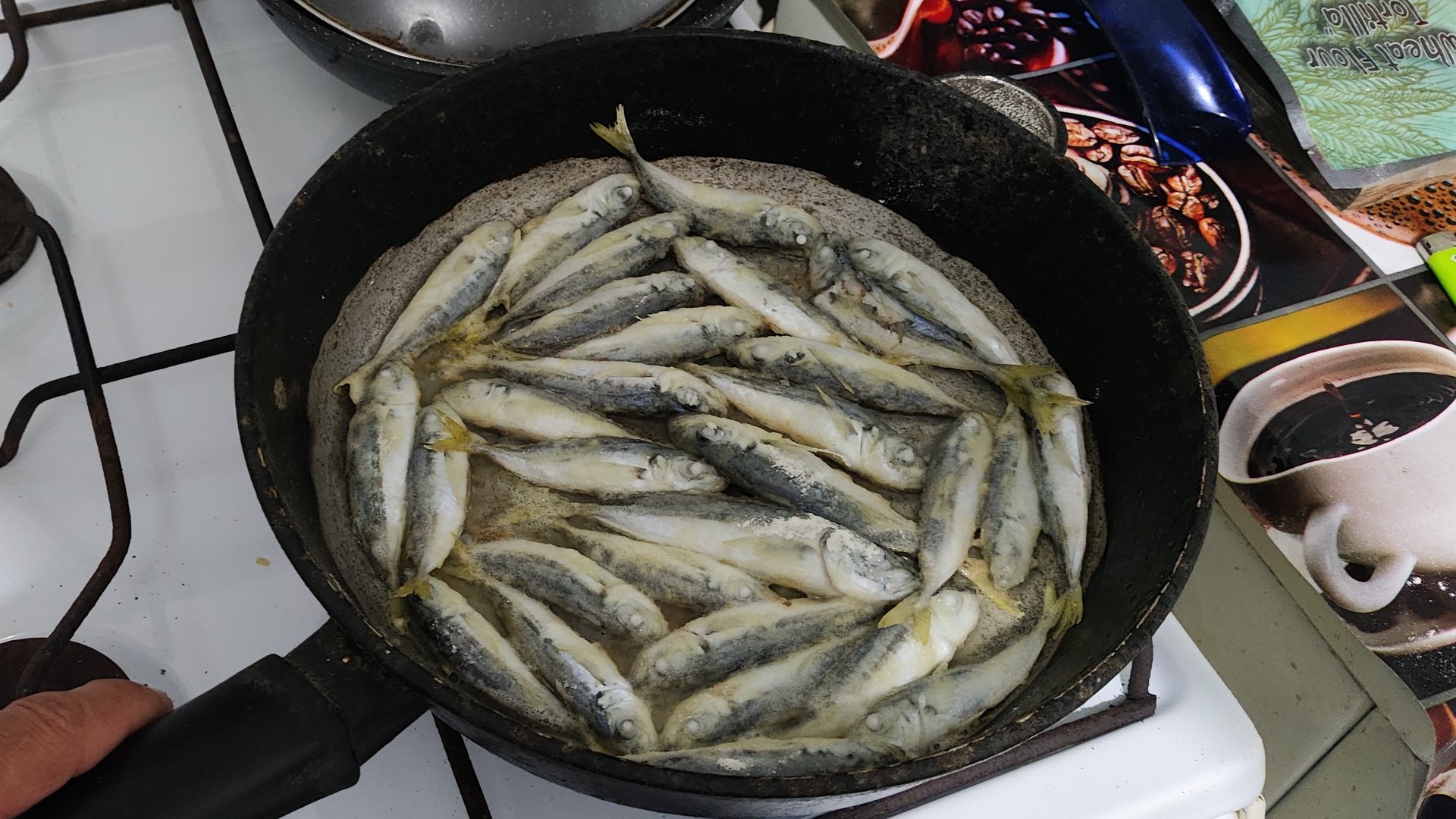 Рыбалка на Чёрном море. Ловим ставриду на самодур. смотреть онлайн