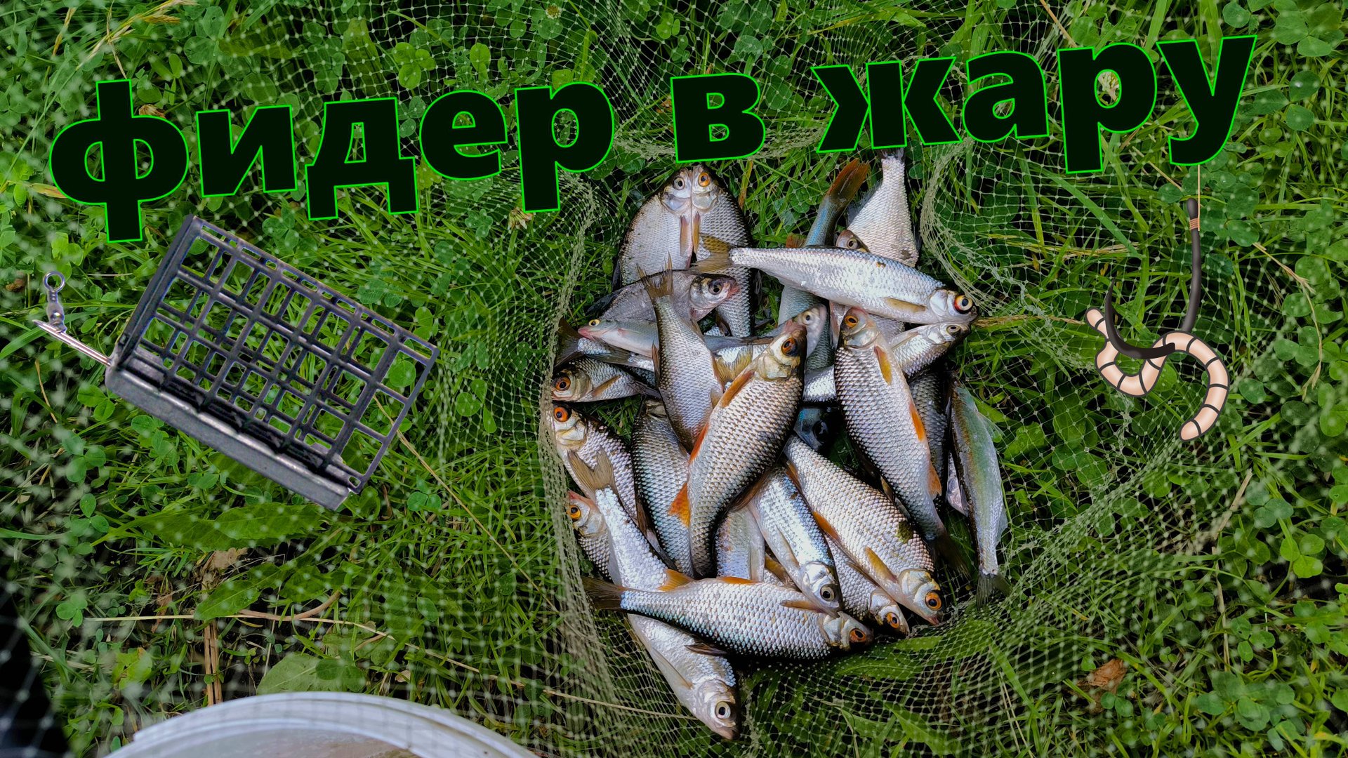 Сколько рыбы можно поймать на фидер в жару смотреть онлайн