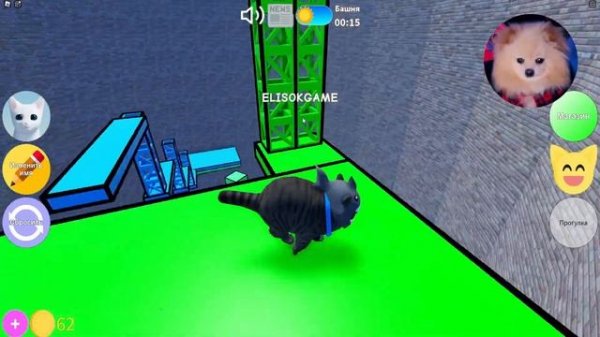 КОТИКИ В ШЛЯПКАХ - ТАНЦУЮТ ВСЕ ! ВЕЧЕРИНКА В РОБЛОКС | Kitten Game