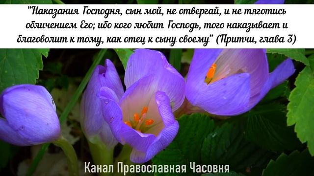 МОЛИТВЫ ОБ ИСЦЕЛЕНИИ - 40 РАЗ смотреть онлайн